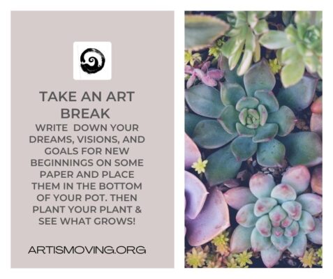 text explaining how to take an art break using paper a pen and a plant. photo of succulents on the right hand side.