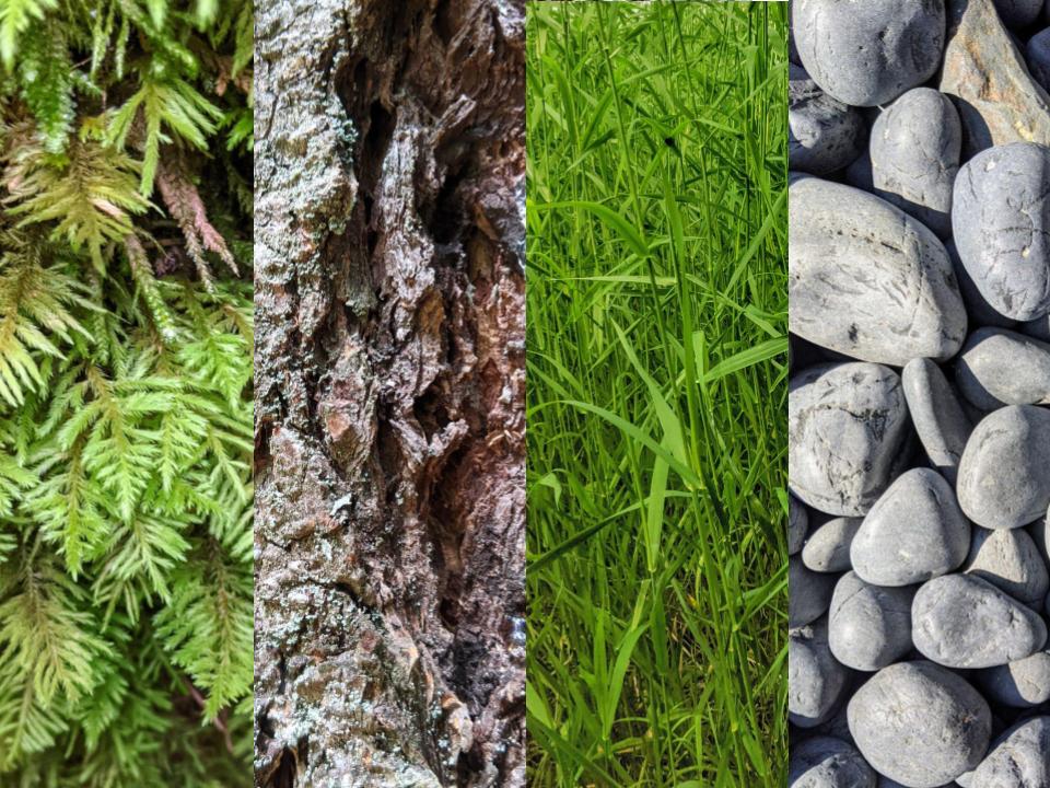 image spilt into four sections with each having a close up image of something from nature including moss, tree bark, grass, and rocks.